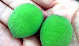 梦见买梨瓜吃,揭秘买梨瓜吃的神秘寓意