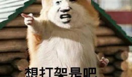 别人吵架吃瓜视频,一场激烈争吵，吃瓜群众围观热议