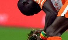 杨旭吃瓜,揭秘娱乐圈幕后真相