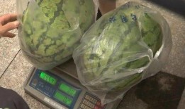 村里来的吃瓜,揭秘乡村生活百态