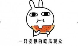 吃瓜吧瓜什么意思,网络流行语的趣味解读