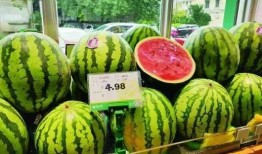 吃瓜火龙果,揭秘吃瓜火龙果的独特魅力