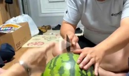 吃瓜博主切片,切片背后的故事与真相