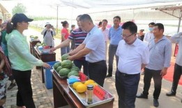 一线吃瓜大会,揭秘娱乐圈幕后风云