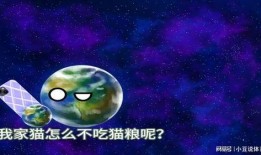 大瓜头吃宇宙,一场宇宙起源的奇幻之旅
