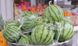 吃坏瓜怎么办,吃坏瓜后的应对措施