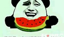 偷瓜吃的梗,一场夏夜偷瓜的欢乐冒险