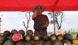 吃瓜吃到快到闪电,闪电来临前的疯狂瓜界盛宴