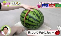 俄罗斯网友吃瓜,揭秘娱乐圈的“瓜田”奇闻轶事