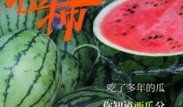 吃瓜群众神反应,揭秘娱乐圈幕后真相