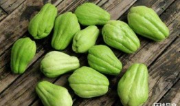 真正在线吃瓜,跟随“真正在线吃瓜”探寻热点背后的真相