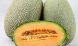 腹部胀痛可以吃哈密瓜吗