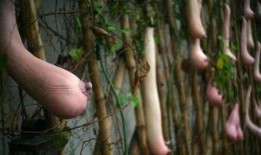 梦见吃乳瓜,乳瓜之梦的神秘启示