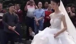 济南新娘事件吃瓜,揭秘婚宴风波背后的真相与争议