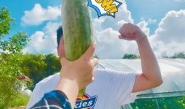 合租网红吃瓜,揭秘娱乐圈背后的真实生活