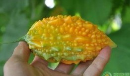 梦见吃赖瓜,揭秘梦中吃赖瓜的神秘寓意