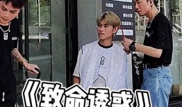 击掌吃瓜群众视频,揭秘网络热传视频背后的故事