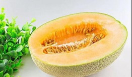 吃瓜情况,揭秘娱乐圈那些不为人知的吃瓜故事