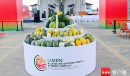 一线吃瓜大会,揭秘娱乐圈幕后风云