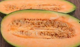 腹部胀痛可以吃哈密瓜吗