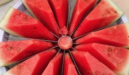 全国吃瓜大赛,瓜界盛宴，全民狂欢瞬间回顾