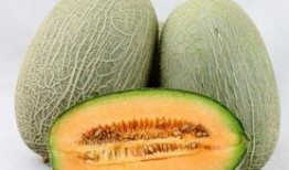 吃补药可以吃哈密瓜吗,食用搭配指南