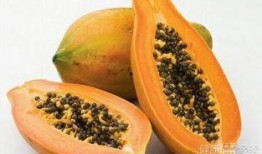 银杏瓜怎么吃,探索美味与健康的完美结合