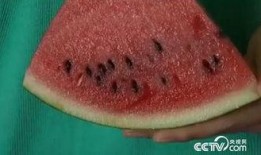 吃瓜怎么吐籽