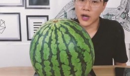 吃瓜能吃糖吗,揭秘瓜果中的糖分奥秘