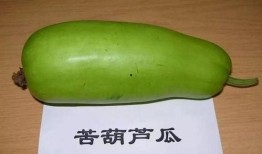 无力吃瓜,揭秘娱乐圈背后的真相与困境