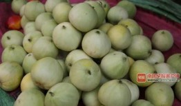 南宁吃瓜记录,吃瓜记录里的风味地图