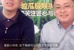 老马吃瓜骗局视频播放,视频播放背后的真相曝光