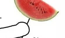 西瓜女孩吃瓜,西瓜女孩的甜蜜瓜界探险记