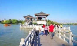 惠州西湖吃瓜,夏日吃瓜好去处