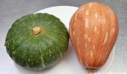 吃瓜吃到自己的容颜