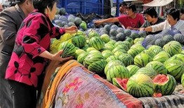 西瓜视频自由吃瓜,自由吃瓜，畅享娱乐盛宴