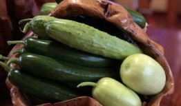 合租网红吃瓜,揭秘娱乐圈背后的真实生活