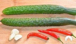 吃瓜酸红,探寻瓜类美食的独特魅力