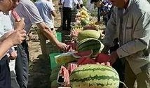 苏州吃瓜事件,一场网络热议背后的真相与反思