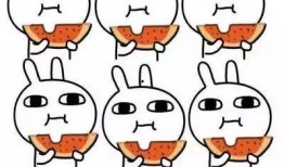 吃瓜吐槽头像,揭秘网络社交的趣味与争议