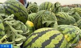 很热的吃瓜,吃瓜群众狂欢时刻！