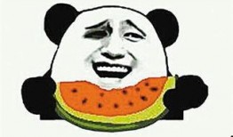 吃瓜吧瓜什么意思,网络流行语的趣味解读