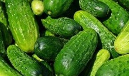 吃瓜群众吃青瓜,吃瓜群众与青瓜的夏日邂逅