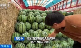 河南项城吃瓜,探寻河南特色美食之旅