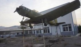 飞机上吃大瓜,飞机上品尝大瓜的奇妙体验