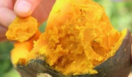 栗子魔兽吃瓜,揭秘虚拟世界的欢乐时光