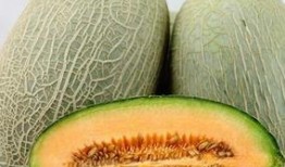 吃发酵的哈密瓜拉肚子,揭秘夏日美食隐患