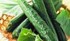 吃瓜有多内卷,从娱乐到生活的全面卷入