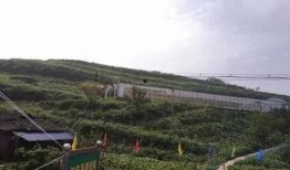 小北湖最新吃瓜事件,真相揭秘引网友热议