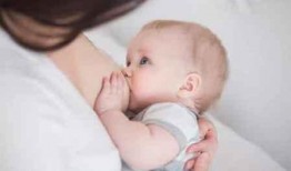 哺乳期吃佛手瓜回奶吗